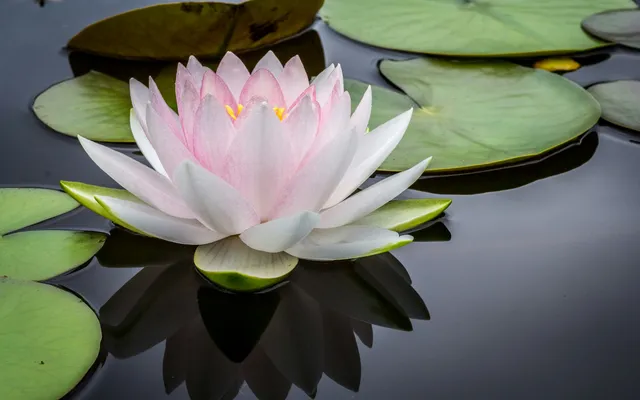 Demystifying the Mysteries of Kundalini
