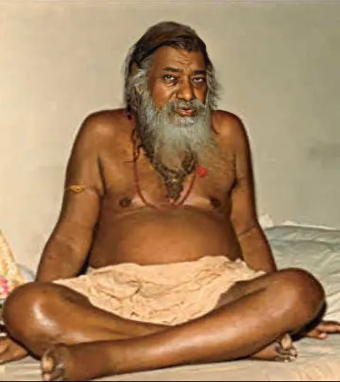 Ananta Śrī Vibhūṣita Avadhūta-Śiromaṇi Śrī Śrī 1008 Śrī Vidyāraṇaya Āśrama (aka Mūrkhāraṇya)