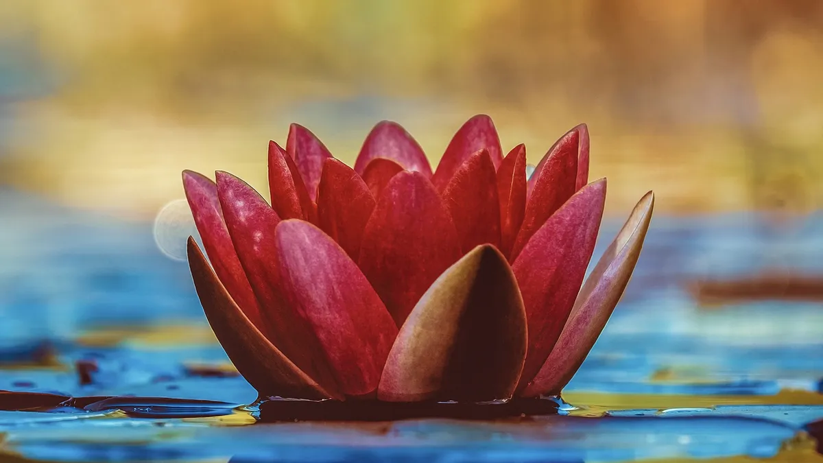 Yogasūtra of Patañjali