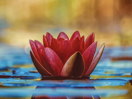Yogasūtra of Patañjali
